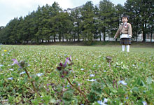 宇都宮 「JRA 競走馬総合研究所」