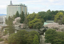 春の二荒山神社