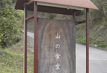 益子、スターネット